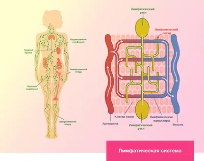 Умный тренировочный Корректор осанки для детей в режиме реального времени  умный мониторинг обучение для взрослых Корректор осанки для спины  инструмент для ухода за здоровьем | AliExpress