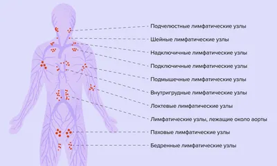 Увеличение лимфатических узлов - причины появления, при каких заболеваниях  возникает, диагностика и способы лечения