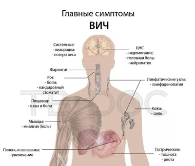 Какая связь между кишечником и позвоночником, суставами