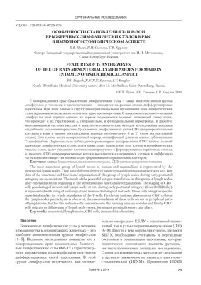 3.9. Опухолевые поражения периферических и внутригрудных лимфоузлов