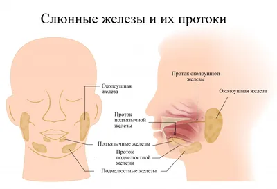 О чем говорят воспаленные лимфоузлы? | PRO Здоровье | Дзен