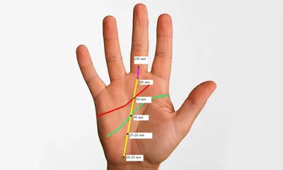 Как гадать по руке: что линии на ладони могут рассказать о вашей судьбе