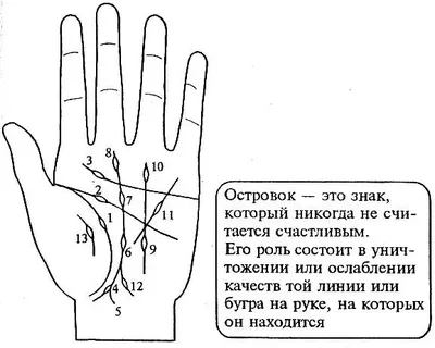 Хиромантия для чайников: что вы можете прочитать по своей руке | MARIECLAIRE