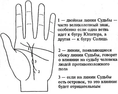 Главные линии на руке и их краткая характеристика | Пикабу