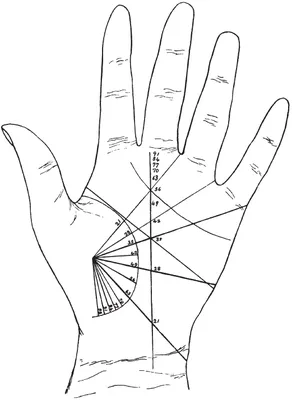 Хотите знать, где вы сейчас на линии Судьбы? | Хиромантесса | Дзен