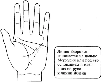 Как читать линии на руке - wikiHow