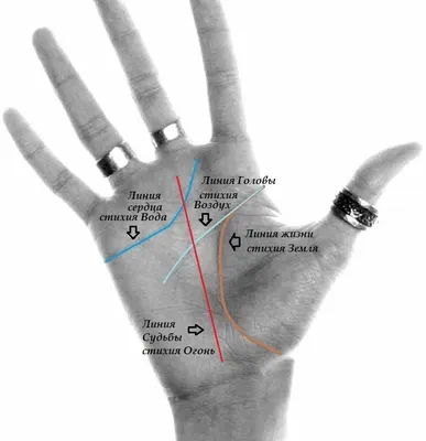 Линия судьбы: как читать линию судьбы на руке – важные знаки