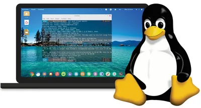 12 Best Linux Distros For Programming In 2023