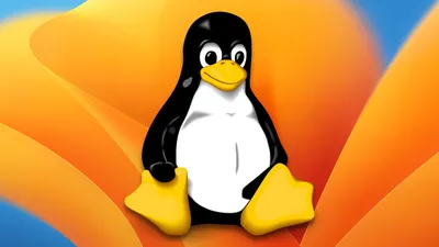 Unix Vs Linux: 5 Key Differences You Must Know