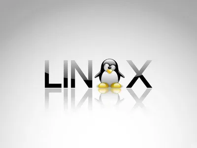 Linux in 100 Seconds - YouTube