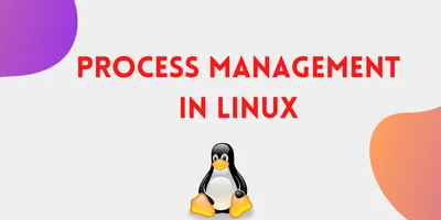 Linux Operating System: History, Functions, Advantages, and Disadvantages