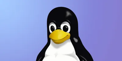 Linux за 30 минут. Руководство по выбору и использованию Linux для новичков  — Хакер