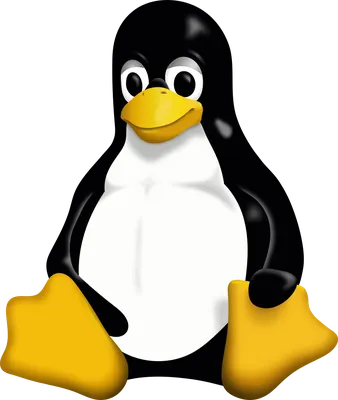 The 40 Most-Used Linux Commands You Should Know