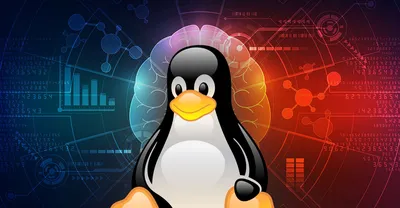 Linux за 30 минут. Руководство по выбору и использованию Linux для новичков  — Хакер