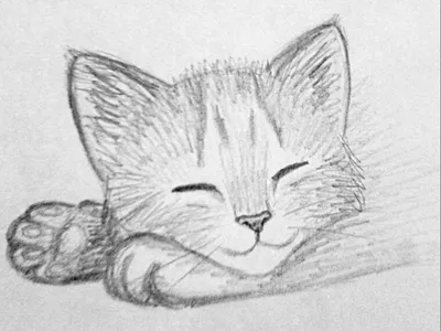 Милые котята рисунки легкие - 88 фото