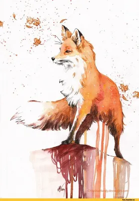 Johis :: Johis :: fox art :: Лиса арт :: animal art :: furry artist ::  animal art :: furry artist :: Лиса :: artist :: fox :: artist :: art ::  fandoms :: art (арт) :: фэндомы / картинки, гифки, прикольные комиксы,  интересные статьи по теме.