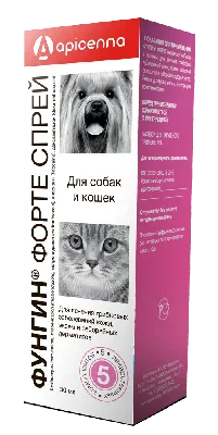 Лишай у собак - причини появи, симптоми, види, лікування та профілактика