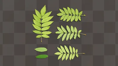 Листья рябины из фоамирана / Как сделать рябину своими руками - YouTube