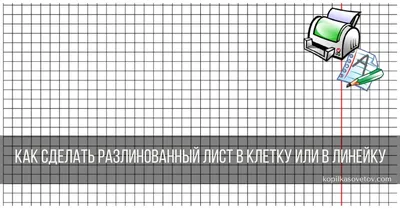 Тетрадь общая А4 96 листов в клетку на спирали Attache 9594259 купить в  интернет-магазине Wildberries