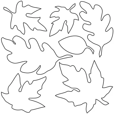 Рисунок листочка дерева - 55 фото