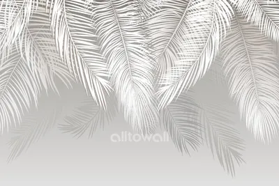 Фотообои Листья пальмы тропические на стену. Купить фотообои Листья пальмы  тропические в интернет-магазине WallArt