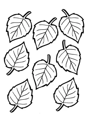 Трафарет для эмбосирования пластик "Листья разных деревьев" 14,5х10,5 см  купить в Чите Трафареты в интернет-магазине Чита.дети (7994392)