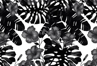 Обои «Черно-белые тропические листья» купить на стену — Невский Декор
