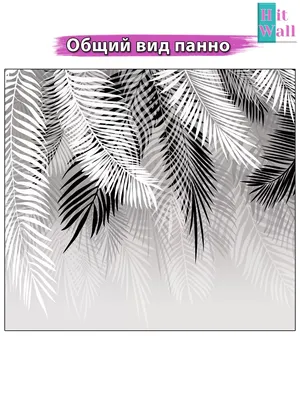 Обои флизелиновые пальмовые листья черно белые 300х270 Hit Wall 43074792  купить за 4 863 ₽ в интернет-магазине Wildberries
