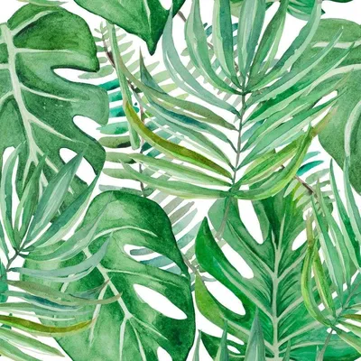 Постер Просто Постер "Зеленые листья монстеры" 90x60 см в подарочном тубусе  по цене 1590 ₽/шт. купить в Пензе в интернет-магазине Леруа Мерлен