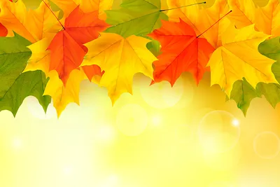 Обои autumn, leaves, осенние листья картинки на рабочий стол, раздел  текстуры - скачать
