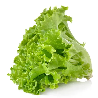 Польза листьев салата для здоровья| от Роскачества