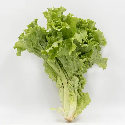 Листовой салат на зиму и 15 похожих рецептов: фото, калорийность, отзывы -  