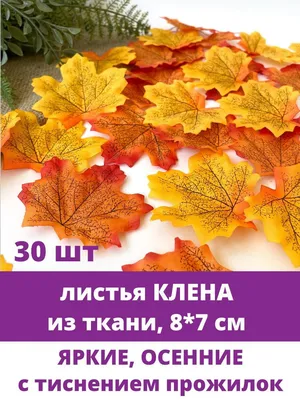 Купить Листья клена искусственные, ЯРКИЕ, 8х7 см, осенние, для рукоделия и  декора, 30 кленовых листочков по выгодной цене в интернет-магазине   (629493115)