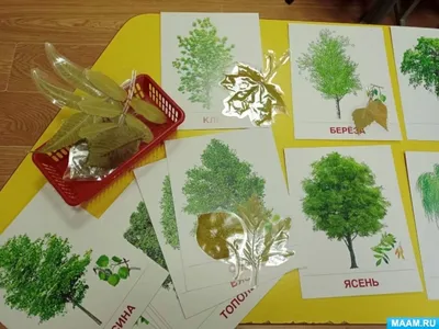 Эскиз листа рисунок листвы дерева символ растения | Премиум векторы