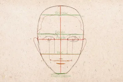 Как нарисовать лицо поэтапно карандашом (59 фото) - легкий мастер-класс по  рисованию лица | Рисование, Нарисовать лица, Рисование лиц