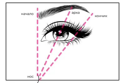 Худа без бровей не бывает: Мастер сделал перманент клиентке на «пустом  месте»