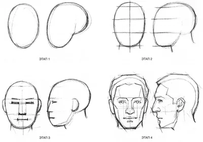 Как нарисовать лицо карандашом: поэтапная инструкция для начинающих (140  фото). Основные пропорции лиц человека, взрослых, детей, пожилых