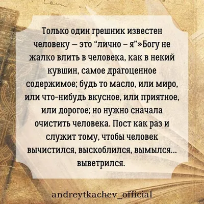 протоиерей Андрей Ткачев on Instagram: “Человеку не дано знать тайны чужих  душ. Чужая душа – абсолютные «потемки». То, что вылезает … | Person,  Personalized items