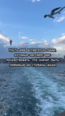 Бенто торт на годовщину любимому человеку, Кондитерские и пекарни в Москве,  купить по цене 1400 RUB, Бенто-торты в Bento ZK с доставкой | Flowwow