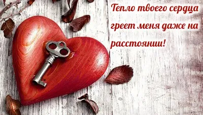 Скажите прямо сейчас своему любимому человеку: "Я ЛЮБЛЮ ТЕБЯ (ИМЯ)". | Я  МОГУ ВСЕ | Дзен