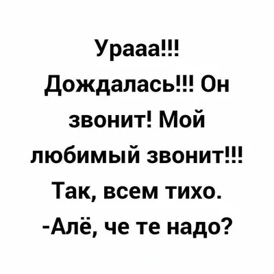 Пин от пользователя Лидия на доске Быстрое сохранение в 2023 г |  Юмористические цитаты, Цитаты, Вдохновляющие фразы