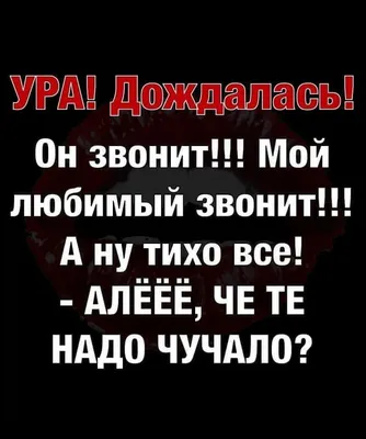 Алана Мамаева поделилась, зачем ей звонил бывший муж новой возлюбленной  Павла Мамаева » Звёзды.ru