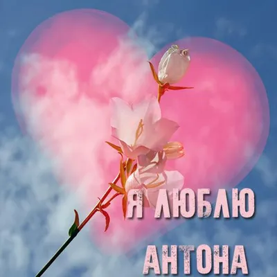 А у этого парня @antonmikhailovskiy День Рождения!!!!!❤️ Антон,я люблю  тебя!!!! Твори,люби,мечтай! И знай,что я всегда рядом 😚 | Instagram