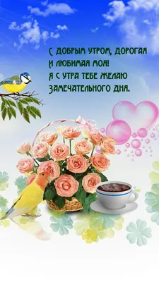 🥰🥰🥰🥰я люблю и любима и вам этого желаю, любить🌹🌹🌹🌹и быть любимой  🥂🥂🥂🥂🥂 | Instagram