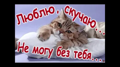 Открытки скучаю и люблю