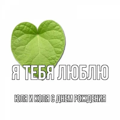 За что люблю Колю - за то, что он дарит мне такие впечатления, и я довольно  быстро вычеркиваю пункты из своего списка: "Я никогда… | Instagram