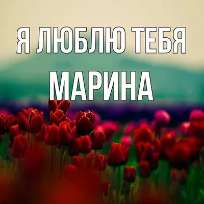 Андрей Чуев стебется над несчастьем Африкантовой: «Злорадствую, потому что  до сих пор люблю Марину» | STARHIT