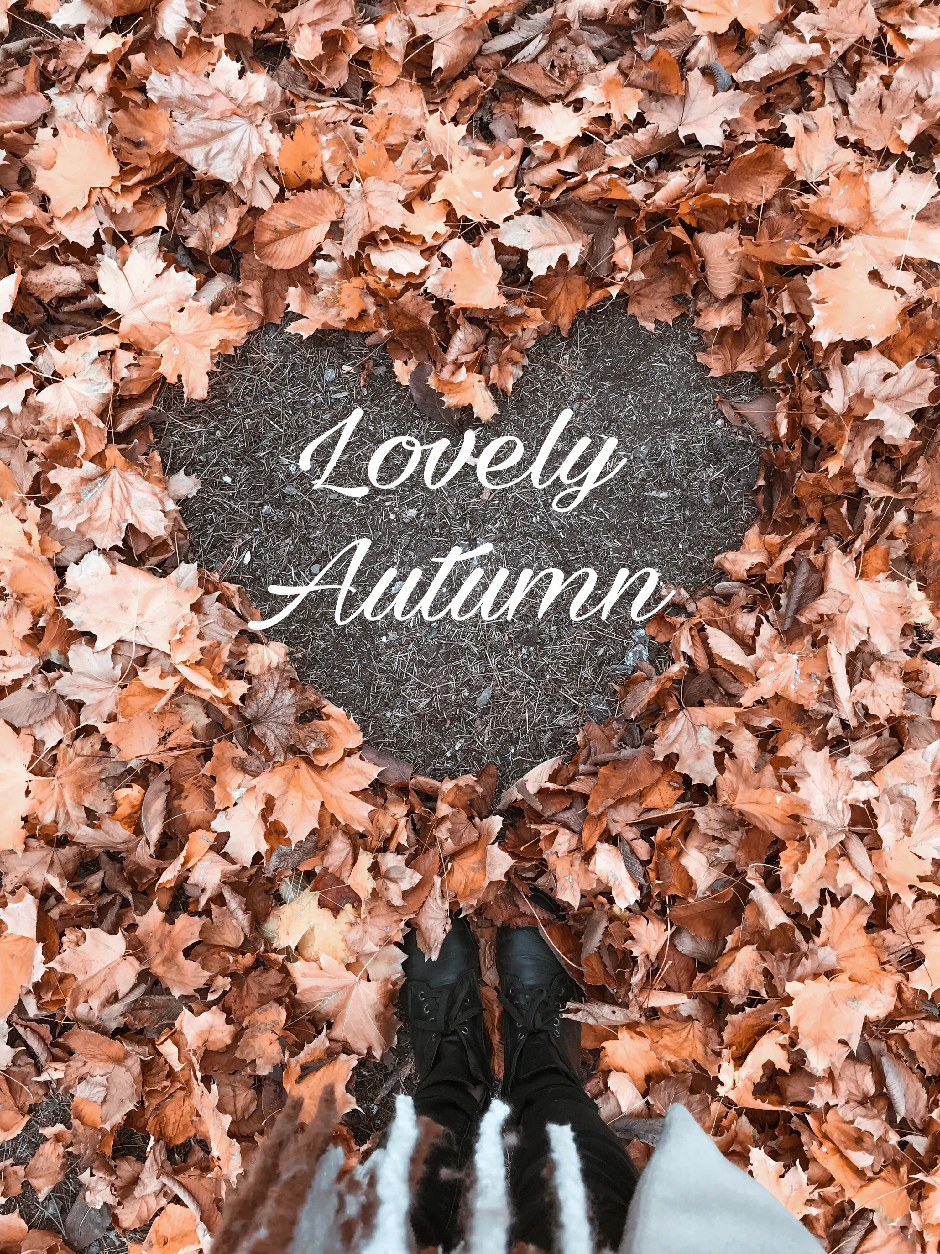 Понравилась осень. Я люблю осень. Я люблю осень картинки. За что любят осень. Я люблю осенью.