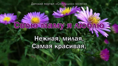 ᐉ Майка "Я люблю свою маму" M Серый (М1632)