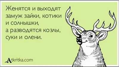 БЭБИ-КЛУБ в Химках on Instagram: "Почему так важно учить стихи с раннего  возраста? 🙃 ⠀ Всё потому, что заучивание стихотворений, чистоговорок  скороговорок, а также песен помогает обрести малышам уверенность  (социальный интеллект), способствует